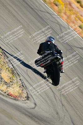 media/Oct-24-2025-2WTD (Fri) [[491f36c2bf]]/C Group/Session 3 (Turn 5)/